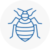 Bed Bug Extermination In Godalming