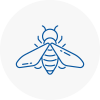 Bee Nest Removal Godalming