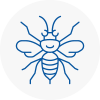 Godalming Hornet Nest Removals