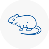 Rat Control Godalming