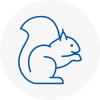 Godalming Rodent Removals
