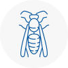 Godalming Wasp Nest Removal